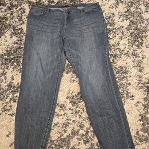 Reitmans Women’s Plus Size Straight Leg Jeans | Size 18 | Medium Wash